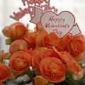 HAPPY VALENTINE'S DAY FOR EVERYBODY