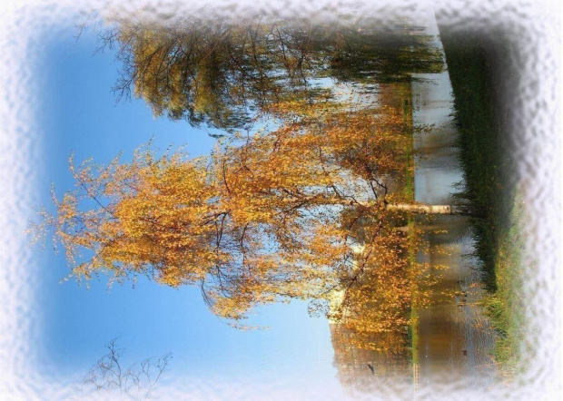 #drzewa #jesień #krajobraz