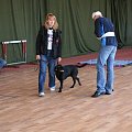 Akceptowanie odruchów chorych - suka JUANITA (Labrador Retriever)