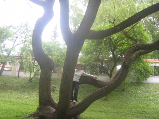 Wielka Integracyjna Majówka, Białystok, Park Zwierzyniecki, 13 maja 2007 roku