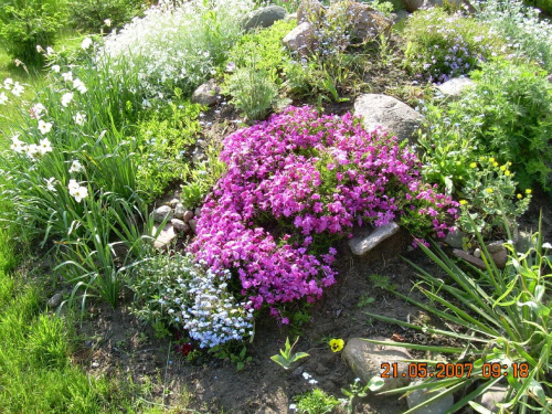 Wiosna w moim ogrodzie
