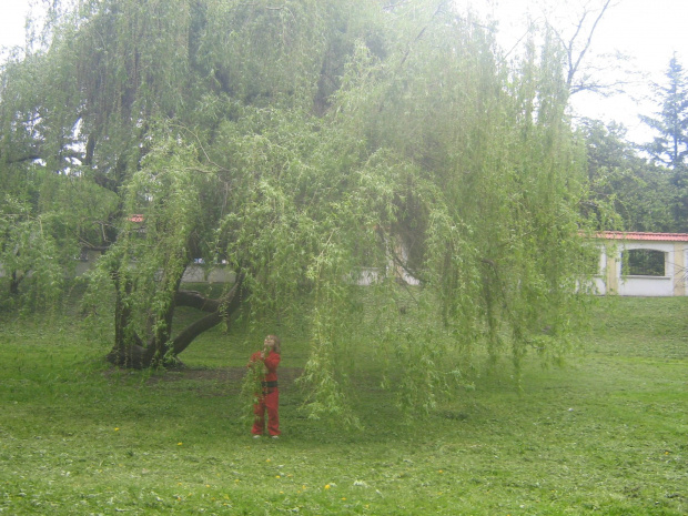 Wielka Integracyjna Majówka, Białystok, Park Zwierzyniecki, 13 maja 2007 roku