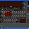 #Tibia