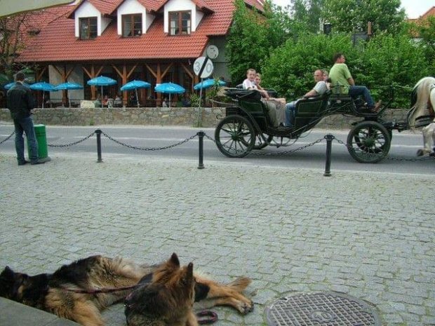 na szkoleniu i w Kazimierzu