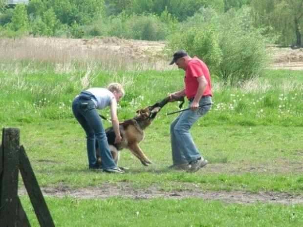 na szkoleniu i w Kazimierzu