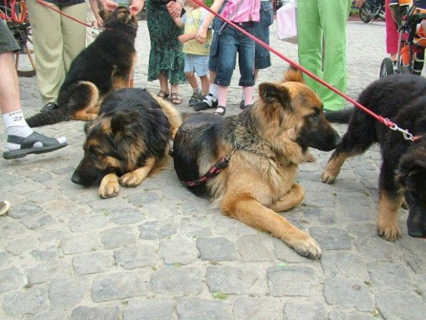 na szkoleniu i w Kazimierzu