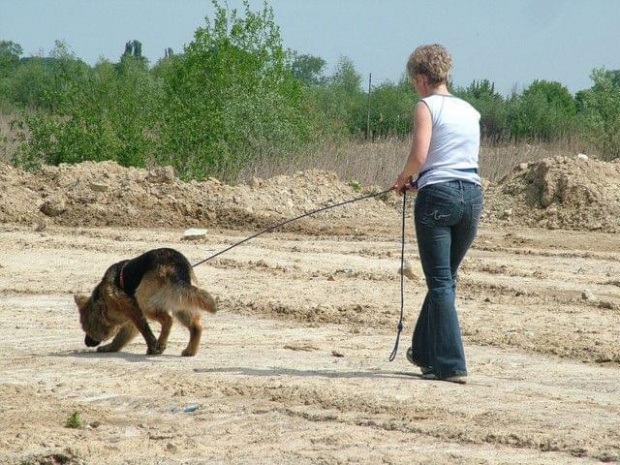 na szkoleniu i w Kazimierzu