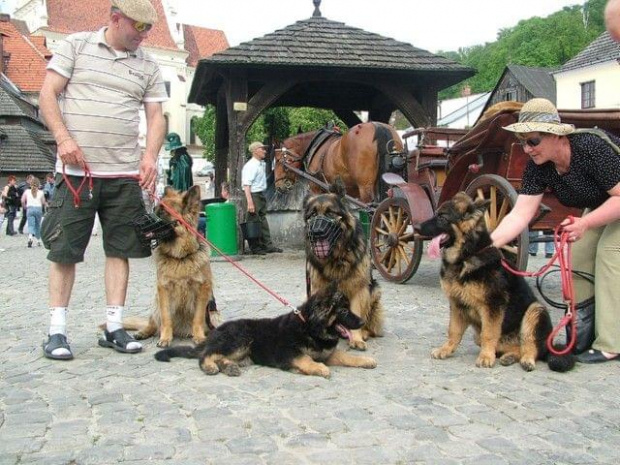 na szkoleniu i w Kazimierzu