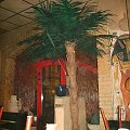Sztuczne Palmy larusso1@wp.pl lub 507 390 005 #palma #SztucznePalmy #palmy #SuszEgzotyczny