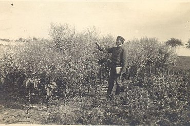 Zdjęcia udostępnione przez Leszka Wojciechowskiego s. Wiktora- nauczyciela ogrodnictwa w szkole na Brzozowej w latach 1913-1914 #Sobieszyn #Brzozowa #LeszekWojciechowski #WiktorWojciechowski