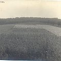 Zdjęcia udostępnione przez Leszka Wojciechowskiego syna Wiktora- nauczyciela ogrodnictwa w szkole na Brzozowej w latach 1913-1914 #Sobieszyn #Brzozowa #WiktorWojciechowski #LeszekWojciechowski