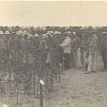 Zdjęcia udostępnione przez Leszka Wojciechowskiego s. Wiktora- nauczyciela ogrodnictwa w szkole na Brzozowej w latach 1913-1914 #Sobieszyn #Brzozowa #LeszekWojciechowski #WiktorWojciechowski