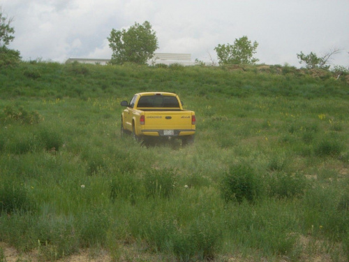 Dodge Dakota