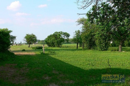 Konstantów 2