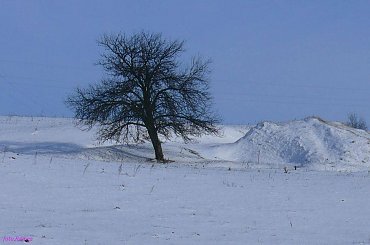 Zima 2007 #Zima2007 #Mazury #Pisz #Remes
