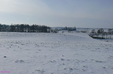 Zima 2007 #Zima2007 #Mazury #Pisz #Remes