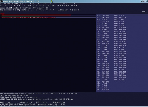 skynet na 40e