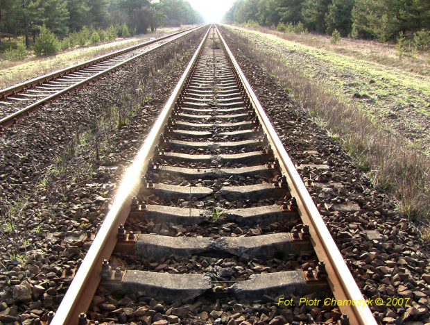 Szlak Piła-Krzyż - zdumiewające uszkodzenia podkładów na niewielkim odcinku torów. 13.03.2007 #kolej #PKP #Piła #szlak #tory