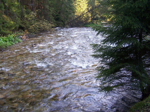 Tatry Zachodnie maj 2007