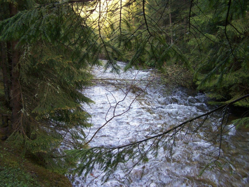 Tatry Zachodnie maj 2007