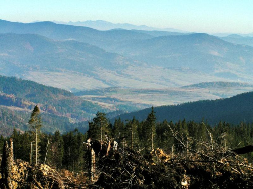 Nowy widok na Beskid Żywiecki i Tatry - wcześniej wszystko zasłaniał las