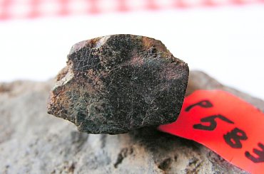 kamienie podobne do znanych meteorytów #meteorytopodobne
