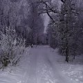 Zima 2005/2006 #Mazury #Pisz #Pisa #Remes
