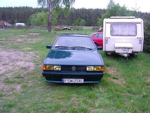 scirocco igiełka #scirocco