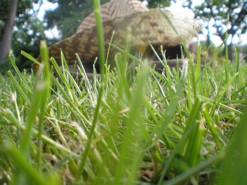 w trawie ;]