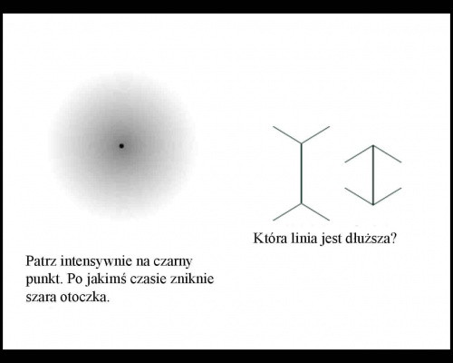 przyjrzyjcie sie dobrze