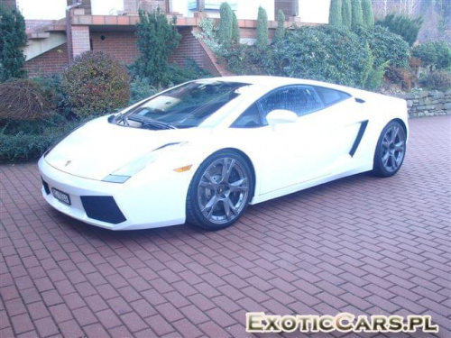 Gallardo