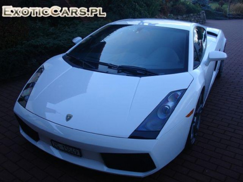 Gallardo