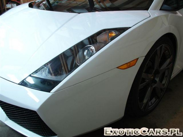 Gallardo