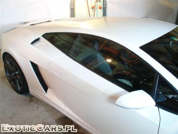 Gallardo