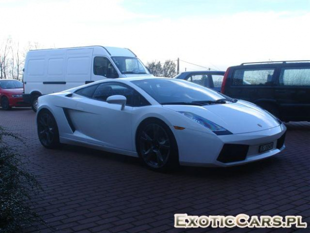 Gallardo