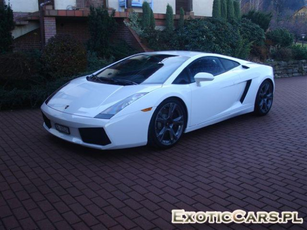 Gallardo