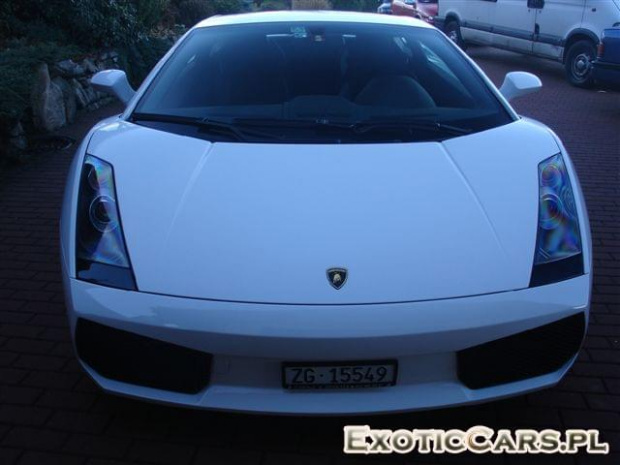 Gallardo