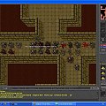 ekspienie palem #tibia