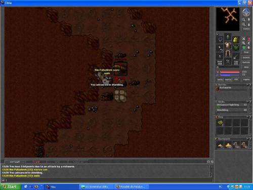 40 shielda #tibia