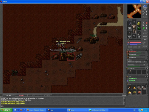 50 distans #tibia