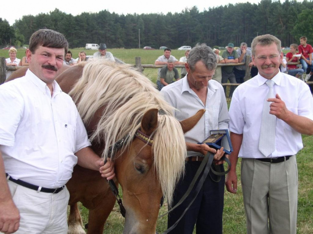 2794 GBł BALA 1994r, kaszt.
po 845 GBł Balans z (Bal-Tyczka)
od 1178 WBł Bruna z (Brunet-NN)
160-220-26
Kalinowski, Bala, Wasiluk, Tołwiński