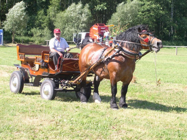 1400 GBł Wizar, 1997, gn.
po 699 Rolltan ard.szw. (Rollman-Tansy)
od 2053 GBł Wolta z (Bilor-Gilza)
160-235-29