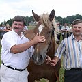 4039 GBł BUSOLA, 2002, kaszt.
po 1120 GBł Rols z (Rolltan-Egra)
od 3332 GBł Busata z (Relaks