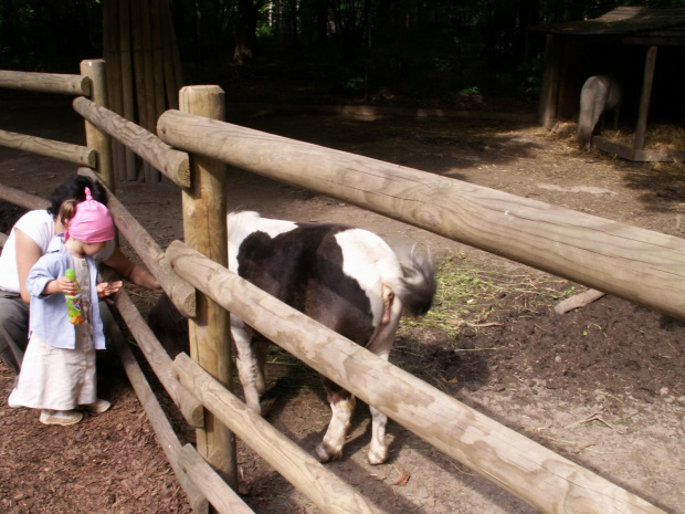 Zoo Kraków 15.06.2006 #zoo #kraków #lasek #wolski