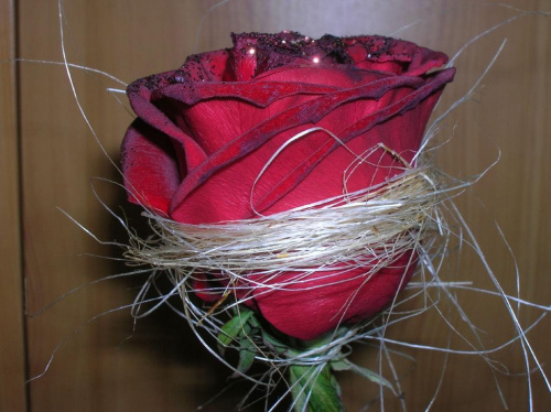 Walentynkowa różyczka