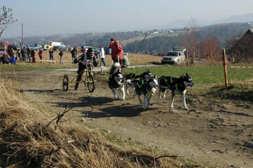 Zawody Zaprzęgowe Radocka Góra