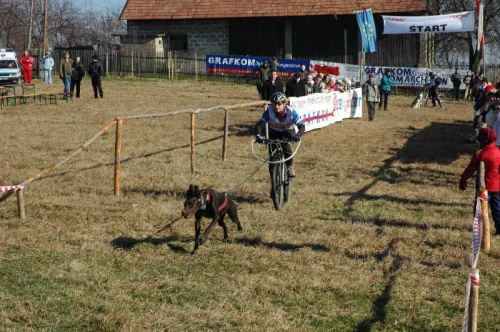 Zawody Zaprzęgowe Radocka Góra