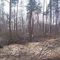 rowerek