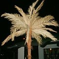 palmy sztuczne palmy 507 390 005 #SztucznePalmy