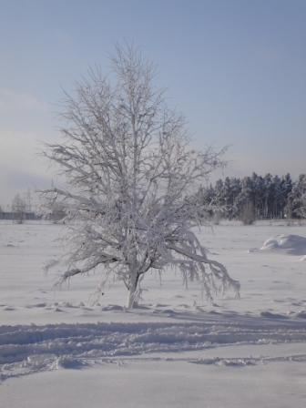 zima 2006